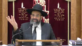 הרב אברהם ישראל-נח היה מאמין או לא מאמין  (אין למו מכשול)איכות שמיעה משופרת