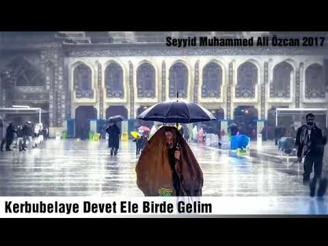 Seyyid Muhammed Ali Özcan Kerbubelaye Davet Eyle (Azeri Sinezen)