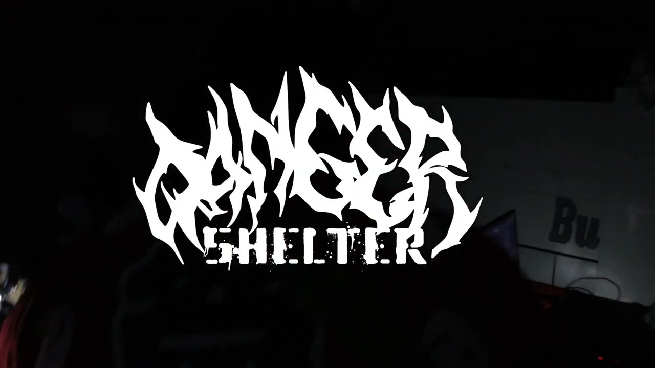 Danger Shelter vlog #3