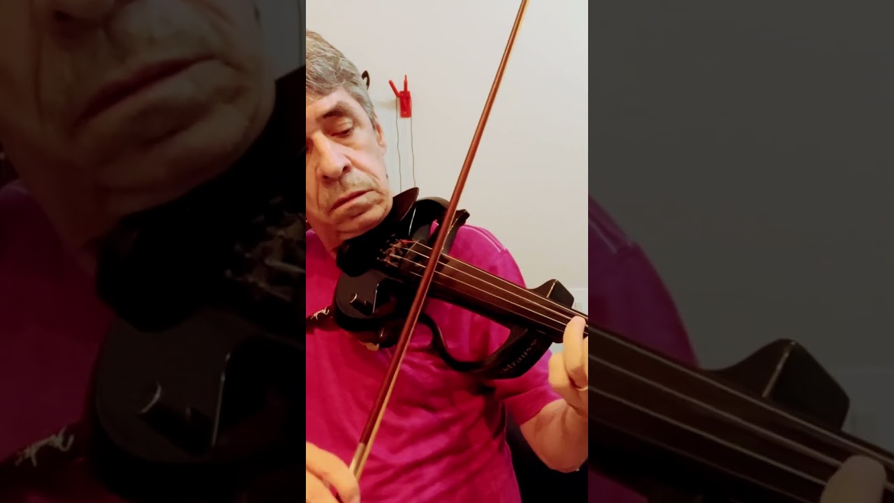 Buch violin 🎻 cover “How deep is your love ❤️ “ by Bee Gees