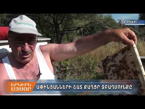 Video: «ՎՍԿ» - ապահովագրական տուն՝ ակնարկներ, հասցեներ, կոնտակտներ, աշխատանքային ժամեր