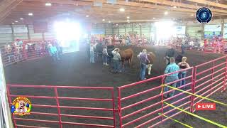 Day one Jr Fair Livestream 2022