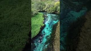Simply The Clearest River In Brazil Rio Sucuri