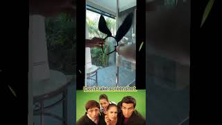 Pt-547 How-To Bads Bainot Keep Sensior Mindset