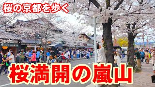 4/6(土)桜満開の京都 嵐山を歩く【4K】渡月橋 天龍寺 嵐電嵐山駅周辺/Cherry Blossoms in Kyoto Arashiyama