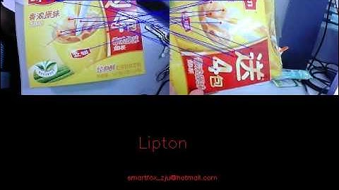 Scale Rotation Invariant GeneralObjectDetection