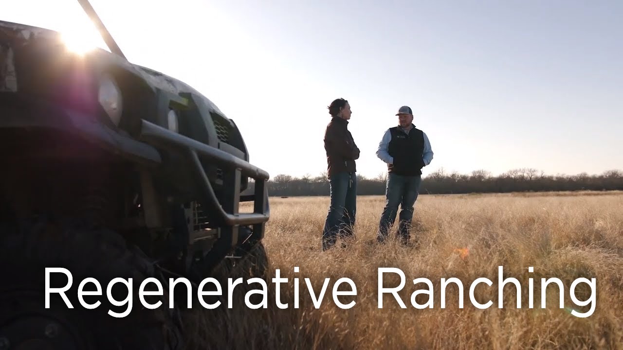 Regrow Ranchers Regenerative Ranching and our Regenerative Rancher Spotlight - YouTube