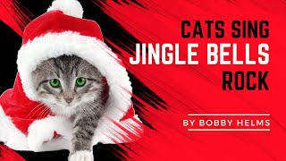 Jingle Bells Rock by Cute Cats by MU6 - MusiX 10,941 views 2 years ago 1 minute, 30 seconds