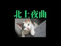 北上夜曲 🎀🎇✨  小林 旭🎀🎇🎎共演/丘みどり