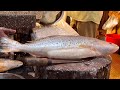 Popular Big Poa Fish Cutting Skills Live In Fish Market | Fish Cutting In Bangladesh