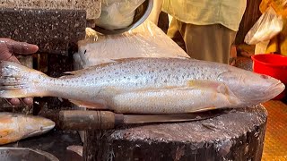 Popular Big Poa Fish Cutting Skills Live In Fish Market | Fish Cutting In Bangladesh