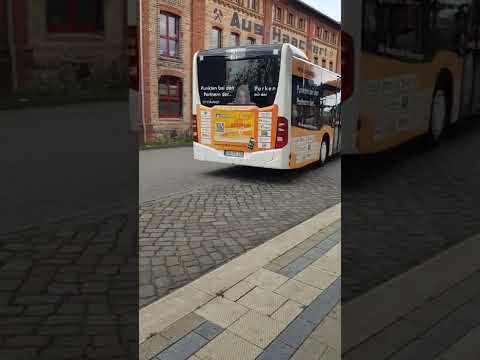 Bus 201 nach