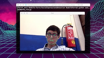 Testing facial landmarks detection with Python