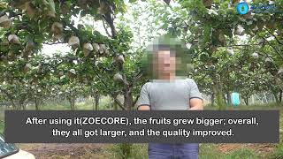 Pear grower testimonial