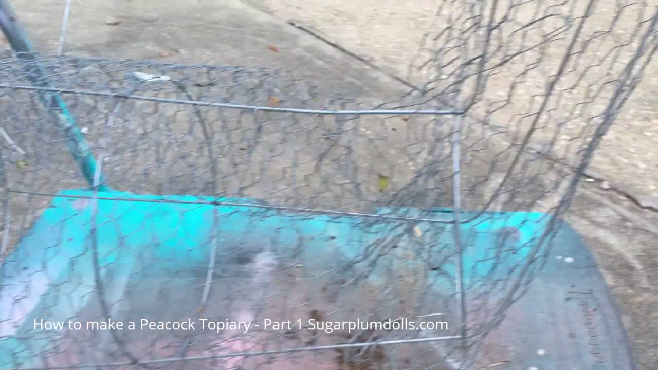 How to make a Peacock Topiary Part 1 of 2 YouTube