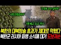 러시아로 파병간 북한군 전멸 괴멸에 평양은 지금 아비규환입니다. &quot;대북방송 듣고 북한군 남한으로 도보귀순&quot;