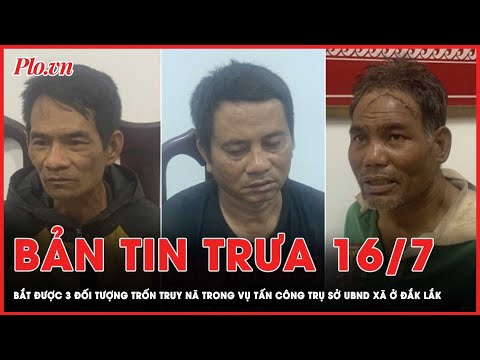 Bản tin trưa