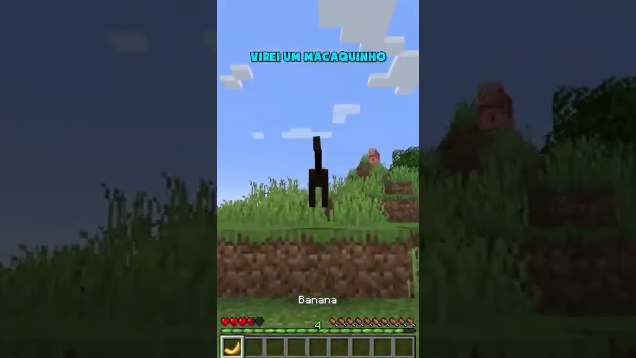 Eu Viro Mobs Aleatórios!