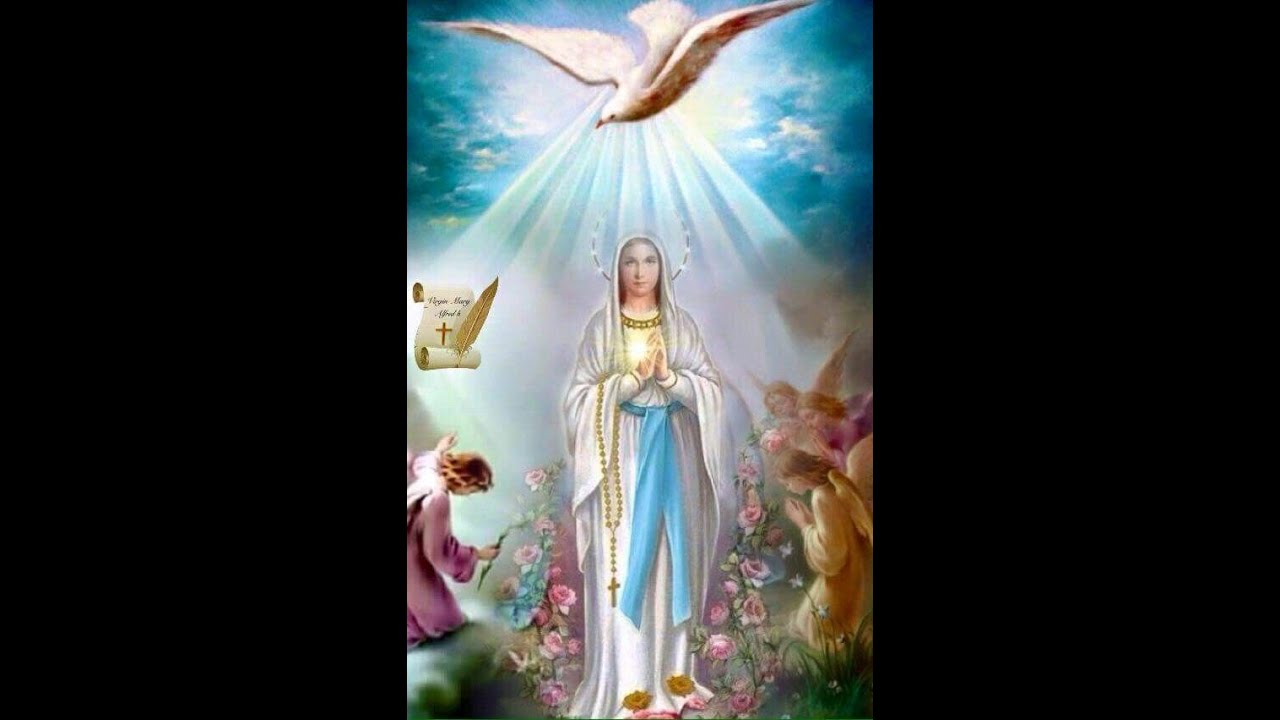 7.11 ¿Qué significa que Jesús fue concebido por obra y gracia del