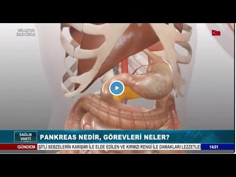 Video: Pankreasın Görevleri Nelerdir