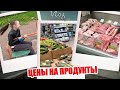 ЖИЗНЬ В ПИТЕРЕ! Цены на  ПРОДУКТЫ и ФРУКТЫ В САНКТ-ПЕТЕРБУРГЕ! ГОТОВИМСЯ К МОР/ МОИ ПОКУПКИ!