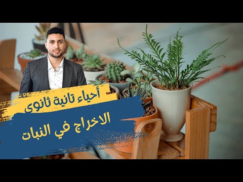 شرح الاخراج في النبات كاملا أحياء تانية ثانوي الترم التاني شرح ممتع جدا 