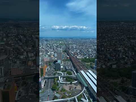 【岐阜シティ・タワー43】