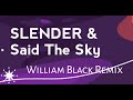SLENDER Said The Sky Potions Ft JT Roach William Black Remix mp3