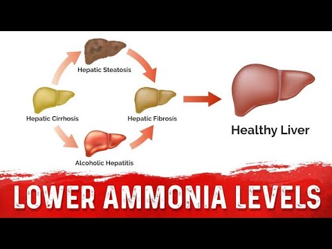 Ammonia(urea cycle)