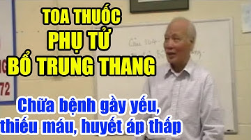 Toa thuốc Phụ Tử Bổ Trung Thang - Chữa bệnh gầy yếu, thiếu máu, huyết áp thấp - Khí Công Y Đạo