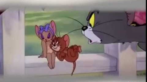 💓New WhatsApp Status Video 2019.💓 ||Tom & Jerry | Best of Little Quacker