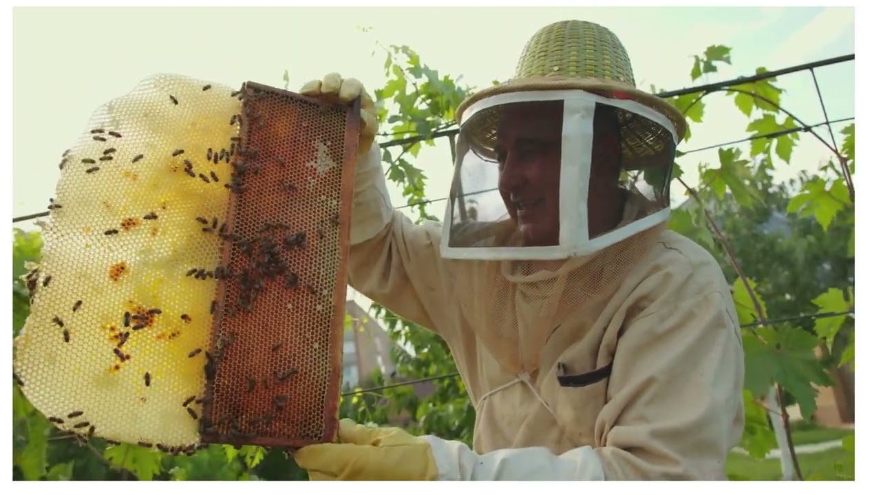 ลำมะหาไช แตดก่อมโคย จาน หลิวบอด 2025