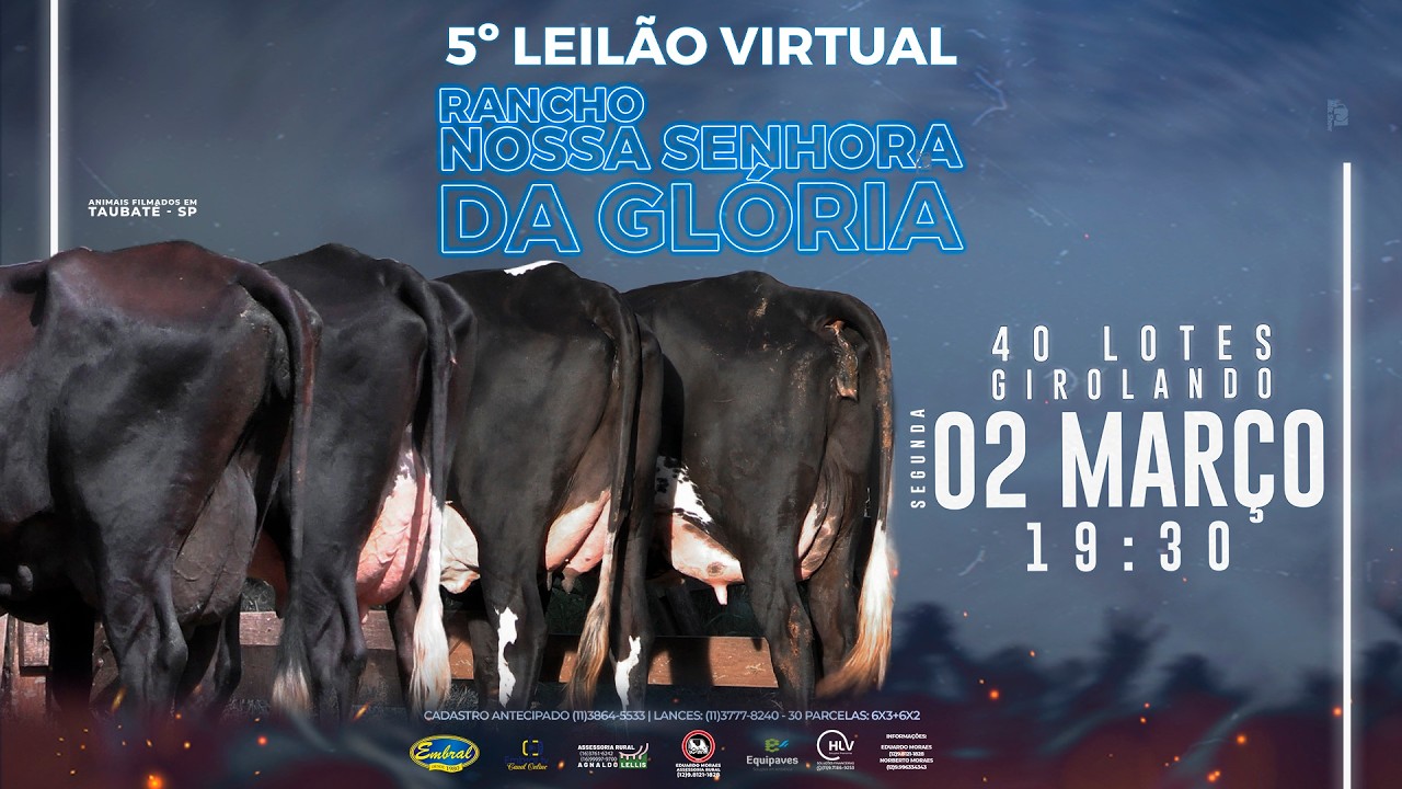 5º LEILÃO VIRTUAL RANCHO NOSSA SENHORA DA GLÓRIA | GADO GIROLANDO