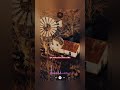 MÚSICA BOA NÃO TEM HORA  #cortés #musica #sextou #viraliza #festakwai