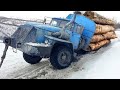 Dangerous Idiots Skill Logging Truck Working, Heavy Skill Chainsaw Cutting Huge Tree Fastest