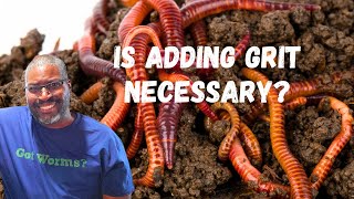 Do Worm Farms NEED GRIT