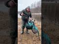 Случай на рыбалке #ai #нейросети #sora #рыбалка #русалка