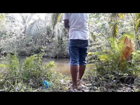 mancing-ikan-nila-terbesar-di-dunia