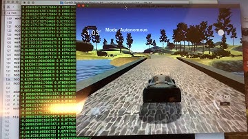 Behavioral Cloning Demo