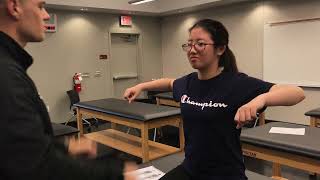 C2 T1 Neurological Screening Tests Myotomes Dermatomes