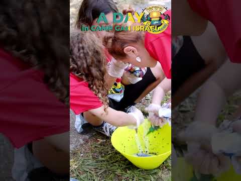 A Day In Camp Gan Israel
