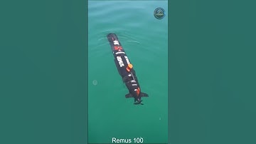 Remus 100 - torpedo-drones voor Oekraïne.