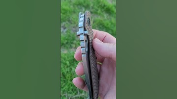 Strider SMF DGG (poo brown)