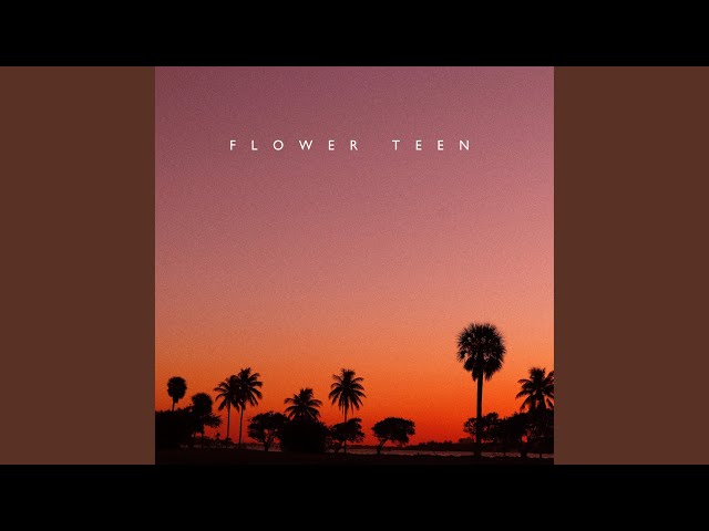 Flower Teen - Left In The Sunset