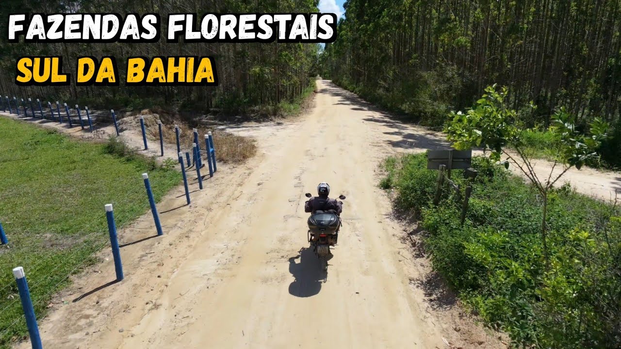 EP-04 Início do retorno pra casa, saindo do Sul da Bahia.