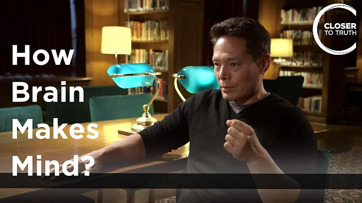 Peter Tse - How Brain Makes Mind?