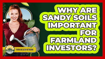Why Are Sandy Soils Important For Farmland Investors?