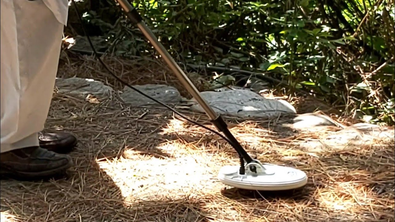 i found a gold earrings in the garden metal detector gold detector