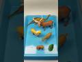 So Satisfying! Animal Toys Asmr #Satisfying #AnimalToys #Shorts