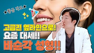 #비순각성형 #비순각 #인중성형 #돌출입 #돌출입교정 #플래너성형외과 #플래너성형외과의원  #닥터플래너 #비주성형 #비주 #코성형 #이승현원장